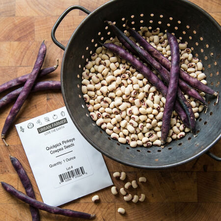 Quickpick Pinkeye, Cowpea Seeds - Packet image number null